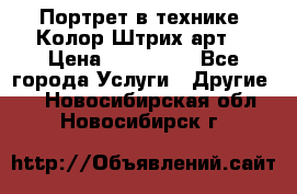 Портрет в технике “Колор-Штрих-арт“ › Цена ­ 250-350 - Все города Услуги » Другие   . Новосибирская обл.,Новосибирск г.